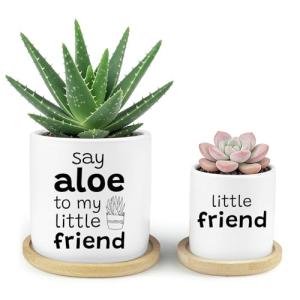 Say Aloe to My Little Friend Funny Succulents Plant Pots, Ceramic Cactus Planter Pot with Bamboo Tray for Indoor Outdoor, Aloe Pot for Plant Lover Friends Housewarming Gift, Set of 2 (No Plants)