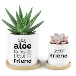 Say Aloe to My Little Friend Funny Succulents Plant Pots, Ceramic Cactus Planter Pot with Bamboo Tray for Indoor Outdoor, Aloe Pot for Plant Lover Friends Housewarming Gift, Set of 2 (No Plants)
