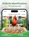 Smart Bird Feeder with Camera, 2K Video Bamboo Bird Feeders with Solar Powered, IP65 Waterproof, AI Birds ID for 10,000+ Species, WiFi Birdhouse Camera for Birds Watching Gifts