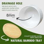 Say Aloe to My Little Friend Funny Succulents Plant Pots, Ceramic Cactus Planter Pot with Bamboo Tray for Indoor Outdoor, Aloe Pot for Plant Lover Friends Housewarming Gift, Set of 2 (No Plants)