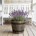 WEICHENGXING 5 Pack 7 Inch Plastic Plant Pots, Whiskey Barrel Planters, Flower Pots for Indoor Outdoor Home Herb Snake Plants, Durable Pots, Set of 5