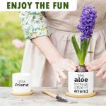 Say Aloe to My Little Friend Funny Succulents Plant Pots, Ceramic Cactus Planter Pot with Bamboo Tray for Indoor Outdoor, Aloe Pot for Plant Lover Friends Housewarming Gift, Set of 2 (No Plants)