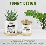 Say Aloe to My Little Friend Funny Succulents Plant Pots, Ceramic Cactus Planter Pot with Bamboo Tray for Indoor Outdoor, Aloe Pot for Plant Lover Friends Housewarming Gift, Set of 2 (No Plants)