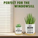 Say Aloe to My Little Friend Funny Succulents Plant Pots, Ceramic Cactus Planter Pot with Bamboo Tray for Indoor Outdoor, Aloe Pot for Plant Lover Friends Housewarming Gift, Set of 2 (No Plants)
