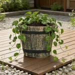 WEICHENGXING 5 Pack 7 Inch Plastic Plant Pots, Whiskey Barrel Planters, Flower Pots for Indoor Outdoor Home Herb Snake Plants, Durable Pots, Set of 5