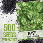 Seed Needs Italian Large Leaf Basil Seeds for Planting - Non-GMO, Heirloom & Untreated - Organically Grow an Indoor or Outdoor Home Grown Herb Garden (1 Pack)