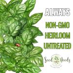 Seed Needs Italian Large Leaf Basil Seeds for Planting - Non-GMO, Heirloom & Untreated - Organically Grow an Indoor or Outdoor Home Grown Herb Garden (1 Pack)