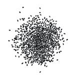 Seed Needs Italian Large Leaf Basil Seeds for Planting - Non-GMO, Heirloom & Untreated - Organically Grow an Indoor or Outdoor Home Grown Herb Garden (1 Pack)