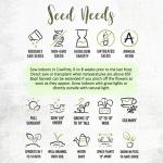 Seed Needs Italian Large Leaf Basil Seeds for Planting - Non-GMO, Heirloom & Untreated - Organically Grow an Indoor or Outdoor Home Grown Herb Garden (1 Pack)