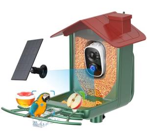 Smart Bird Feeder Cam with Solar Power