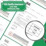 Squirrel-Proof Acrylic Window Bird Feeder with Suction Cups