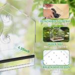Squirrel-Proof Acrylic Window Bird Feeder with Suction Cups