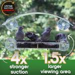 Window Bird Feeder with Strong Suction Cups