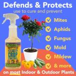 Natural Insecticidal Soap & Spider Mite Spray