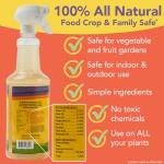 Natural Insecticidal Soap & Spider Mite Spray