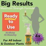 Natural Insecticidal Soap & Spider Mite Spray