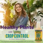 Natural Insecticidal Soap & Spider Mite Spray