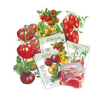 Botanical Interests: Garden Seeds Heirloom Tomato Collection - 6 Individual Seed Packets: Heirloom Seeds Non GMO Organic Varieties: Vegetable Seeds for Planting Outdoors in Your Home Vegetable Garden