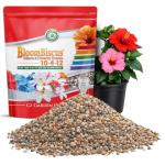 BloomBiscus® Hibiscus Plant Food 10-4-12 Fertilizer - Made in USA - for Bird of Paradise, Angel Trumpets, Plumeria, Bromeliads, Canna Lily, Heliconia, Ixora, & Flowering Tropicals!