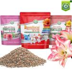 BloomBiscus® Hibiscus Plant Food 10-4-12 Fertilizer - Made in USA - for Bird of Paradise, Angel Trumpets, Plumeria, Bromeliads, Canna Lily, Heliconia, Ixora, & Flowering Tropicals!