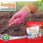 BloomBiscus® Hibiscus Plant Food 10-4-12 Fertilizer - Made in USA - for Bird of Paradise, Angel Trumpets, Plumeria, Bromeliads, Canna Lily, Heliconia, Ixora, & Flowering Tropicals!
