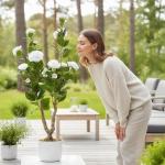 2Pcs/3FT Artificial Camellia Tree for Indoor Porch Decor, Realistic Faux Plant in Pot with White Flowers, 35" Tall Potted Greenery Fake Camellia Plant for Home Office Outdoor Patio Wedding Decor