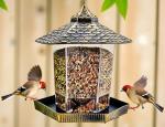 H Potter Fly Thru Bird Feeder