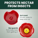 Perky-Pet 203CPBN-2 Pinch-Waist Glass Hummingbird Feeder with Perches, Built-in Ant Moat and Bee Guards - Outdoor Garden Décor - 2 Pack