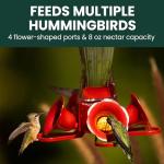 Perky-Pet 203CPBN-2 Pinch-Waist Glass Hummingbird Feeder with Perches, Built-in Ant Moat and Bee Guards - Outdoor Garden Décor - 2 Pack