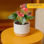 Costa Farms Anthurium, Live Indoor House Plant with Red Flowers, Easy to Care for in Modern Plant Pot, 12-Inches Tall, Housewarming Gift, Room Decor