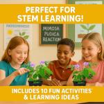 TickleMe Plant Seeds for Indoor Planting (2-Pack) – Touch-Sensitive Plant That Closes Leaves When Touched – Easy Indoor House Plant Seeds – Fun Educational Activity for Kids & Adults