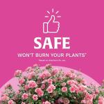 Scotts Rose & Bloom Continuous Release Plant Food, 3 lb