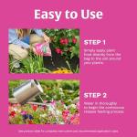 Scotts Rose & Bloom Continuous Release Plant Food, 3 lb