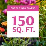 Scotts Rose & Bloom Continuous Release Plant Food, 3 lb