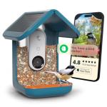 Bird Buddy Solar-Powered Smart Bird Feeder - Blue