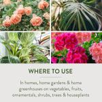 Garden Safe 32-oz Insect Killer Trigger Spray