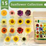 1,000+ Heirloom Non-GMO Sunflower Seeds for Planting