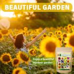 1,000+ Heirloom Non-GMO Sunflower Seeds for Planting