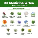 HOME GROWN Herb Seeds 32 Medicinal Herbs and Tea Variety Pack – Annual & Perennial Herb Seeds for Planting Indoors & Outdoor – Non-GMO, Heirloom Seeds, Easy to Grow, High Germination Garden Kit