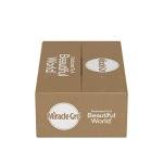 Miracle-Gro Water Soluble All Purpose Plant Food, Plant Fertilizer for Indoor or Outdoor Plants, Roses, Flowers, Houseplants, Vegetables and Trees, 6.25 lb.