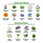 HOME GROWN Herb Seeds 32 Medicinal Herbs and Tea Variety Pack – Annual & Perennial Herb Seeds for Planting Indoors & Outdoor – Non-GMO, Heirloom Seeds, Easy to Grow, High Germination Garden Kit