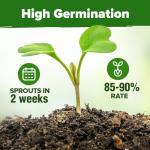 HOME GROWN Herb Seeds 32 Medicinal Herbs and Tea Variety Pack – Annual & Perennial Herb Seeds for Planting Indoors & Outdoor – Non-GMO, Heirloom Seeds, Easy to Grow, High Germination Garden Kit