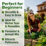 HOME GROWN Herb Seeds 32 Medicinal Herbs and Tea Variety Pack – Annual & Perennial Herb Seeds for Planting Indoors & Outdoor – Non-GMO, Heirloom Seeds, Easy to Grow, High Germination Garden Kit