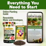 HOME GROWN Herb Seeds 32 Medicinal Herbs and Tea Variety Pack – Annual & Perennial Herb Seeds for Planting Indoors & Outdoor – Non-GMO, Heirloom Seeds, Easy to Grow, High Germination Garden Kit