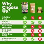 HOME GROWN Herb Seeds 32 Medicinal Herbs and Tea Variety Pack – Annual & Perennial Herb Seeds for Planting Indoors & Outdoor – Non-GMO, Heirloom Seeds, Easy to Grow, High Germination Garden Kit