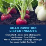 BioAdvanced Ready-to-Use Insect Killer for Vegetables