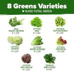 8 Lettuce & Salad Greens Seed Vault, Non-GMO