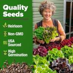 8 Lettuce & Salad Greens Seed Vault, Non-GMO