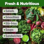 8 Lettuce & Salad Greens Seed Vault, Non-GMO