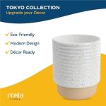 Costa Farms Money Tree in Ceramic Planter - 16